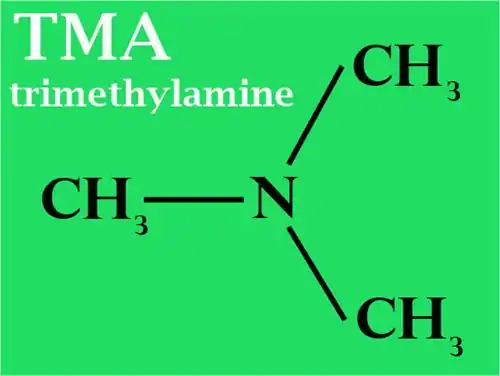 chemical formula of TMA