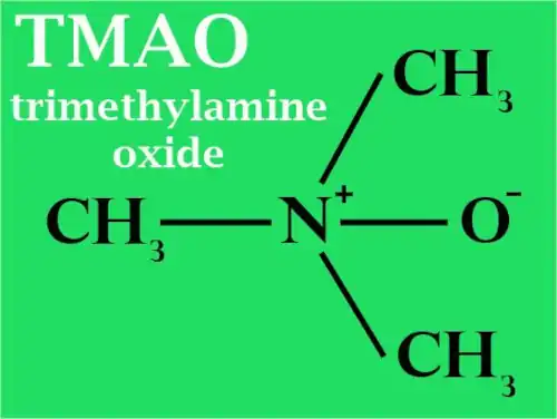 chemical formula of TMAO