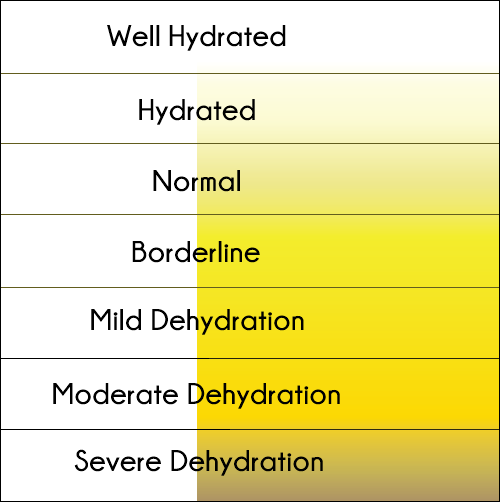 Color of urine according to your level of dehydration