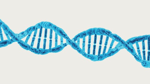 DNA Double helix