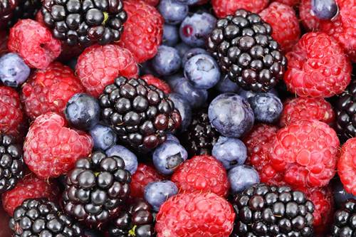differnt types of berries: a natural source of vitamins
