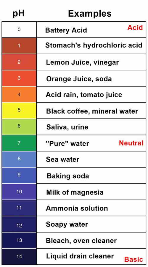 pH scale chart with examples 0 to 14
